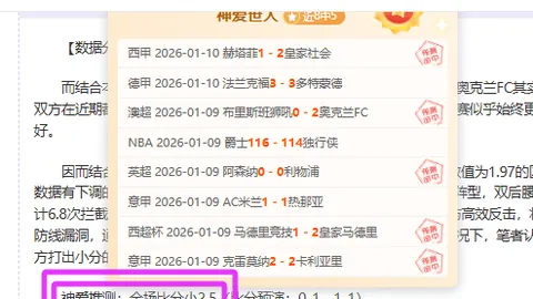 利兹联桑德兰英超解析，专家质合分析及比分预测